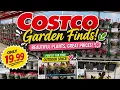 Best Costco Garden Finds 2026