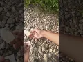 Download Lagu Science Experiment | Making Fire through Stones #shorts #experiment