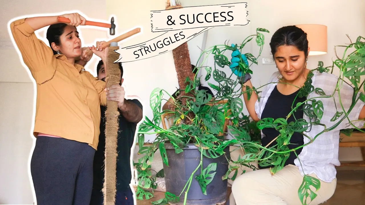 DIY Moss stick and my experience| Garden Up