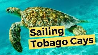 Tobago Cays – St Vincent & the Grenadines