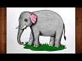 Elephant Drawing Elephant Drawing Colour Elephant Colour