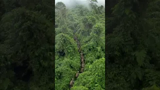 US Army Jungle Operation Drone Surveillance Tactical Mission 