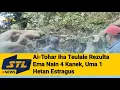 Download Lagu Ai-Tohar Iha Teulale Rezulta Ema Nain 4 Kanek Uma 1 Hetan Estragus