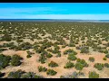 2 5 Acres N of St Johns AZ with trees and a nice road 7 000