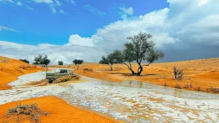 شيلة ارض جفاها بارق العام ياحمود اداء مفضي العرماني حصريا 2022 