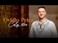 Download Lagu Ovidiu Peica - Colaj Etno