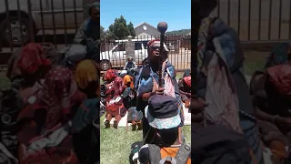 makoloane a ga mpongo