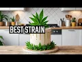 Get Ready for an Epic Wedding Cake Cannabis Strain Review