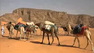 روعة موال الجمال انصحك بسماعه دندنها