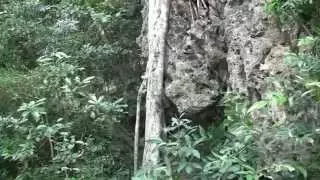 tea disa vadakadem goan konkani suresh wadkar