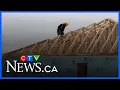 New Build Canada Homes project is no miracle MP Aitchison