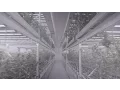 MedMen Cultivation and Production