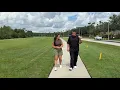 New Tampa Boulevard repaving project