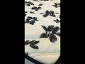 Vídeo do produto