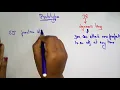 Prototype Java Script JS Lec-06 Bhanu Priya