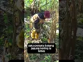 Download Lagu Kerja Keras dari Pagi sampai Malam Demi Keluarga | Motivasi Hidup Inspiratif