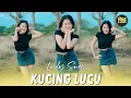Download Lagu Laily Suci - Kucing Lucu // Meow Meow (DJ Remix)