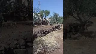 معارك بني معروف ضد تنظيم داعش خلال الهجوم على قرية الشبكي 