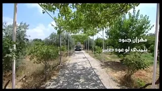 اغنية بتمنى لو عود صغير 