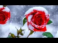 Download Lagu Неземная, необыкновенная музыка Сергей Грищук! Сборник 2023 Лучшие музыка для души 2023