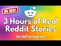 Revenge Real Reddit Stories - Reading Reddit Stories