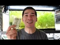 How To Clean A Dirty Fish Tank