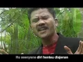 Download Lagu ASEP SURYA - AMBON SORANGAN || OFFICIAL VIDEO MUSIK