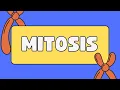 Sister chromatids vs homologous chromosomes