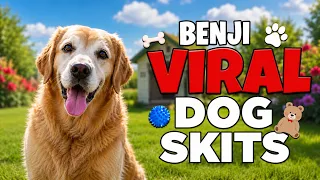 VIRAL EMOTIONAL Dog Skits!!