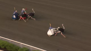June 18 2016 - Ostrich Derby