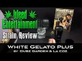 White Gelato Plus - Hybrid