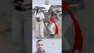 أنجاة من أيدي الهلاك لطف من الله بل الانسان حيوانات Funny Explore Viralshorts Youtubeshorts 