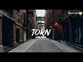Download Lagu AVA MAX - Torn (Lyrics/Lyric Video)