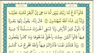 سورة البقرة الصفحة 11 من القرآن للشيخ ياسر الدوسري 