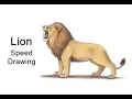 Lion Roaring Color Time-lapse Speed Drawing