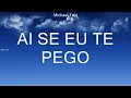 Download Lagu Michael Telo ~ Ai Se Eu Te Pego # lyrics