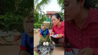 baby Monkey best funny videos