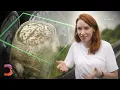 Lagu What If Pain Could Be Made Optional? | The Future With Hannah Fry