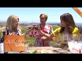 Wine Tasting With a View on Daou Mountain California Live NBCLA
