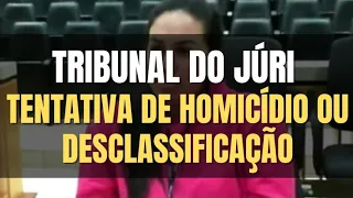 🔴 Tribunal do Juri: Tentativa de homicídio ou desclassificação para lesão corporal culposa?