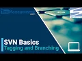 SVN Basics - Tagging and Branching