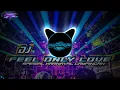 Download Lagu DJ ANDALAN RISWANDA FEEL ONLY LOVE || SEPESIAL DJ PERFROM GAMPINGAN. -GUNGDE49