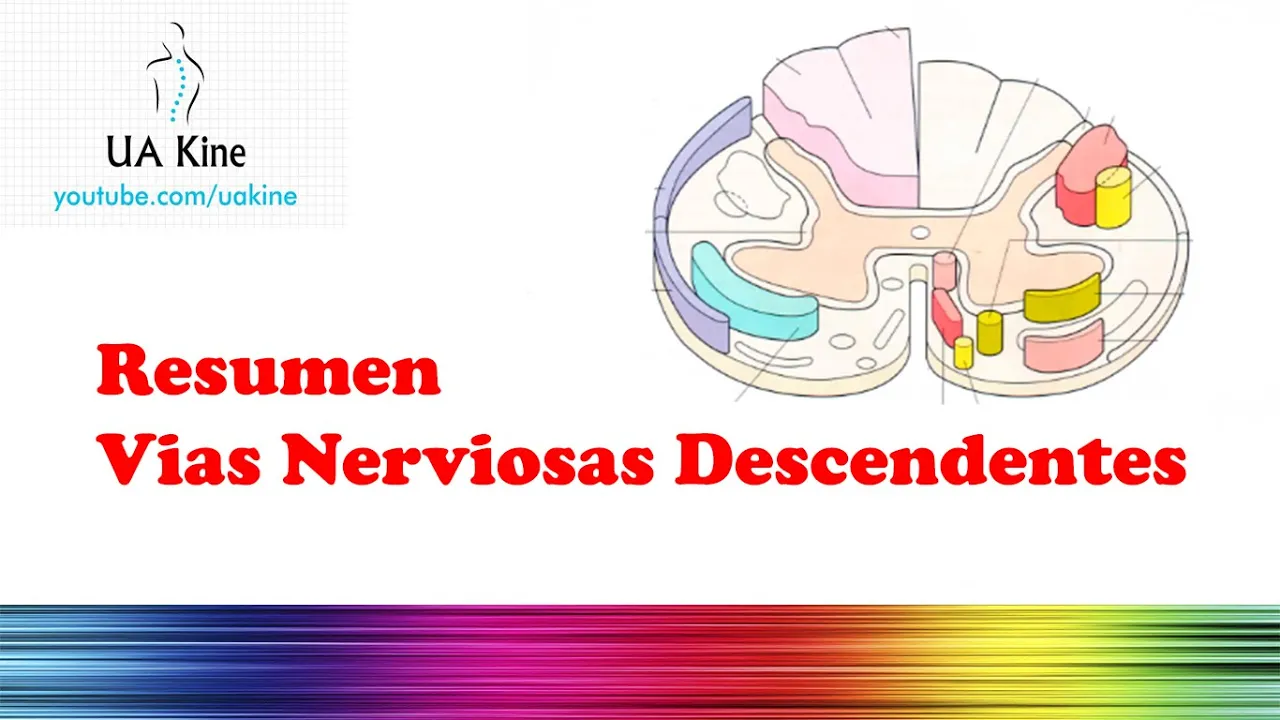 Resumen Vías Nerviosas Descendentes (Tractos)