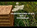 Lagu 2. KRUIDENVROUWEN OP REIS - DUIZENDBLAD