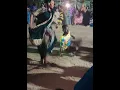 Download Lagu The Vibrant World of Kirang: A Nubian Dance#viral #viralshort #viralvideo #viralshorts #video