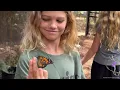Our Maui Butterfly Farm Tour