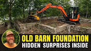 Forestry Mulching Inside an Old Barn Foundation Hidden Surprises