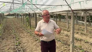 Teknologjitë e Avancuara në Bujqësi | Investimet në Sera – Prof. Ilir Tomorri