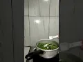 Download Lagu Masak sayur bayam dan terong lalap #memasak #masakancepat #sayurbayam #teronghijau #fypyoutube