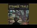 Download Lagu Meet Me In The Woods